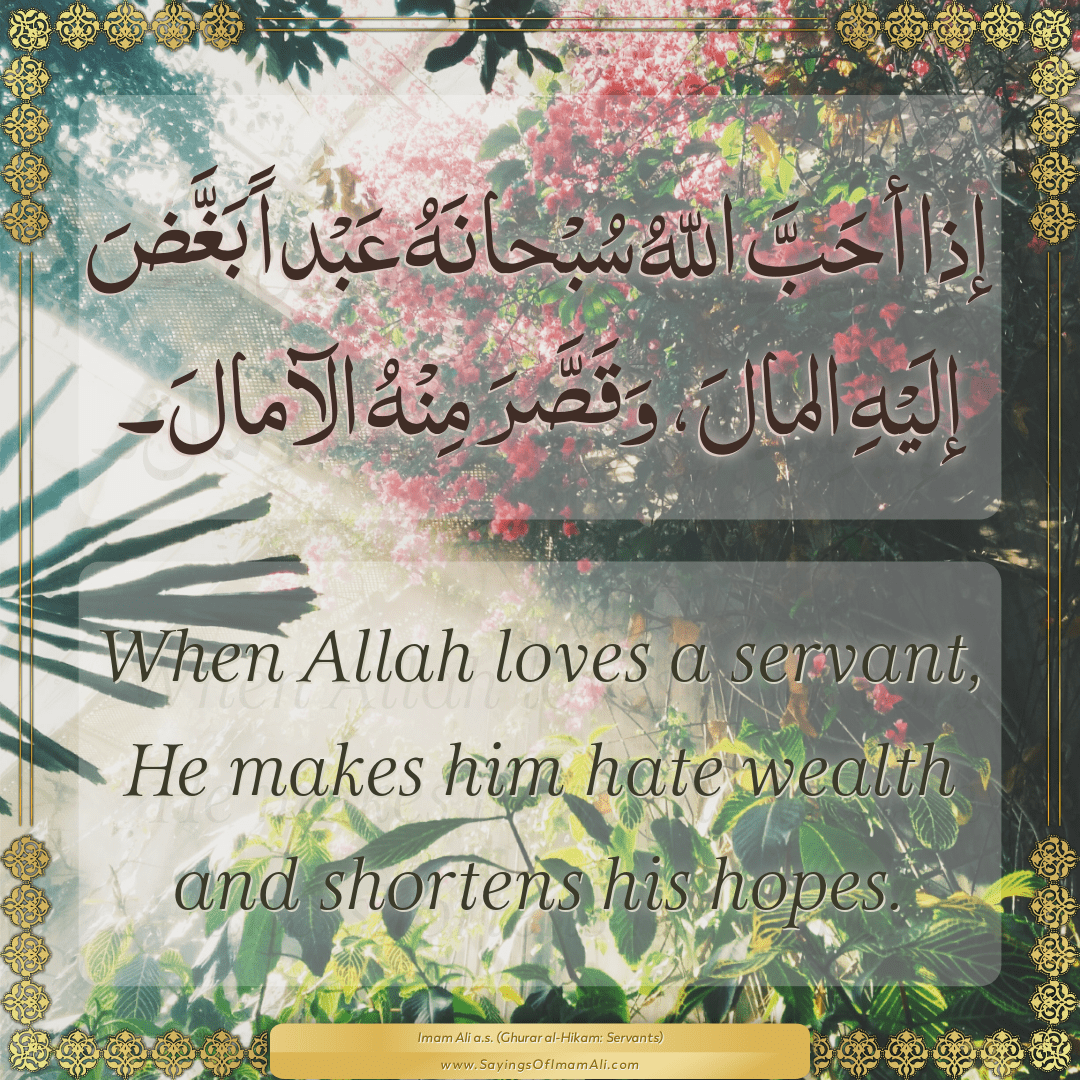 When Allah loves a servant, He makes him hate wealth and shortens his...